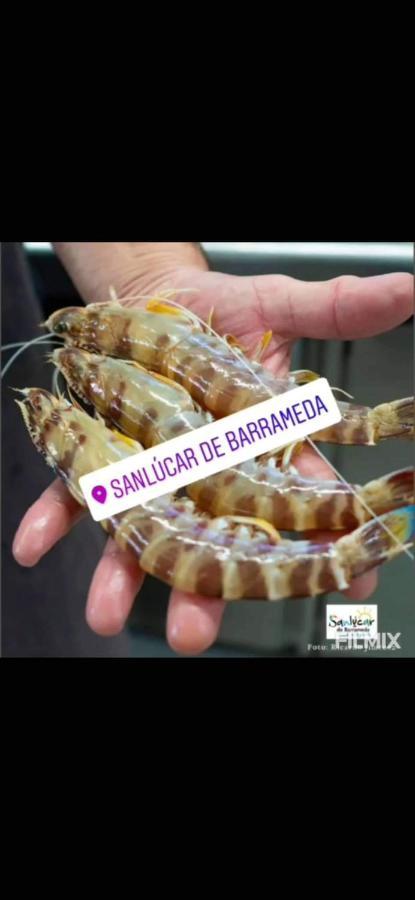Piso De Dos Dormitorios En El Centro De Sanlúcar de Barrameda Kültér fotó